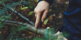 Multitoole do 1000 zł, często nadają się już jako sprzęt survivalowy, ponieważ posiadają piłkę do drewna. Na zdjęciu męzyczna piłuje gałąź za pomocą multitoola.