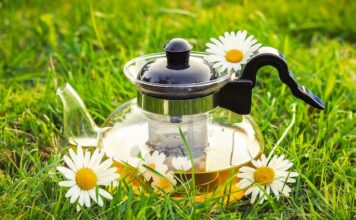 Jakie zioła stosować na problemy z układem oddechowym?