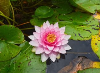 Z czego zrobić podkładki antypoślizgowe?