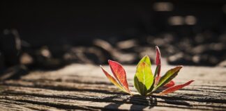 Ile podkładów na łózko do szpitala?