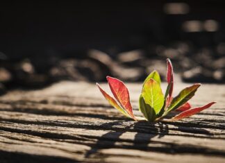 Ile podkładów na łózko do szpitala?