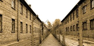 Co robiono z ludzi w Auschwitz?