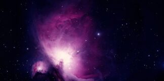 Ile trwa nauka korzystania z nocnika?