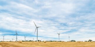 Czy można rolować brzuch?